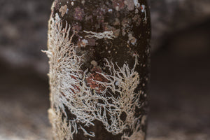 2022 Fathoms Cuvée PRE RELEASE